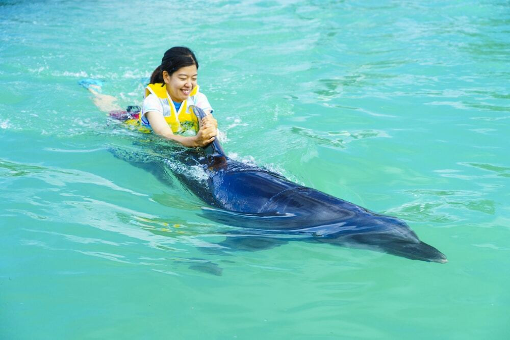 子供向けアクティビティ