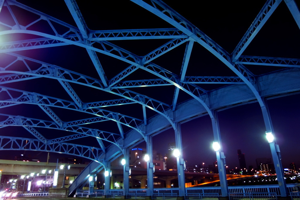 駒形橋954898