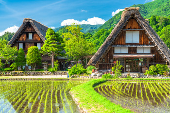 [Gifu] Shirakawago Gassho-zukuri village/Rice planting season