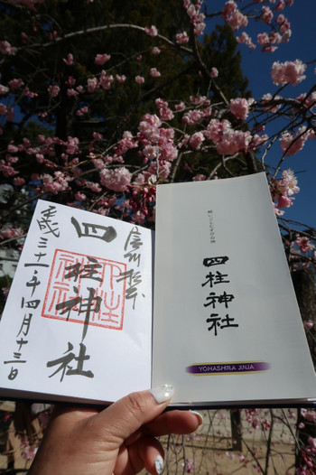 10.四柱神社/松本市2101543