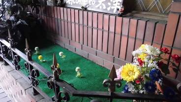 施設の敷地 / 17