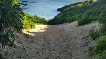 観光スポット / 1