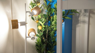 スーペリア ツインルーム 共用バスルーム