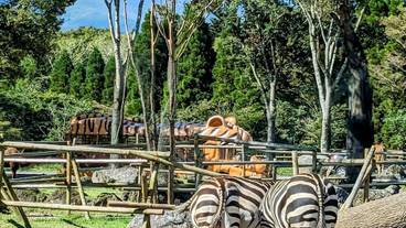 観光スポット / 8