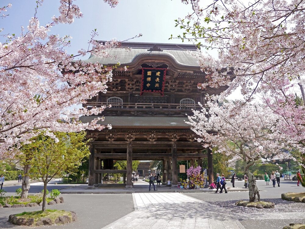 観光スポット
