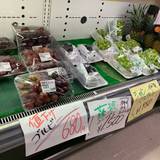 高田屋（タカダヤ）