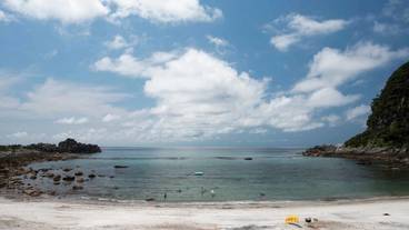 ランド ビュー / 39