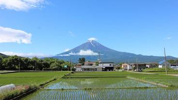 施設からの眺望 / 10