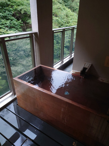 名湯“東山温泉”発祥の宿4242210