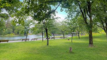 観光スポット / 9