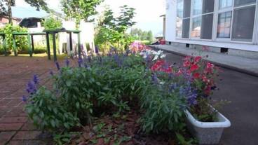 施設の敷地 / 31