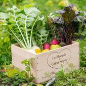 安曇野ペンション ハーヴェスト（長野県 ペンション） / 2