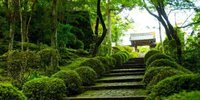 【奈良】心を整える1泊2日。宿坊「霊山寺 天龍閣」でゆったり癒しの旅を