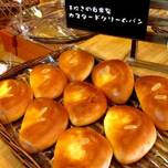 美味しいパンが全部100円！最強コスパの「鎌倉ベーカリー」