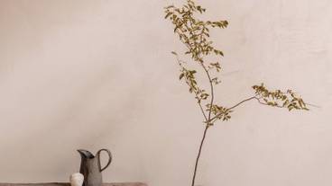 リビング エリア / 25