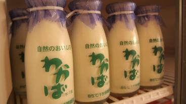 家族向けレストラン / 8