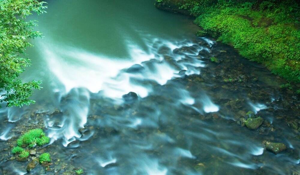 渓流側客室の眺望一例 / 5