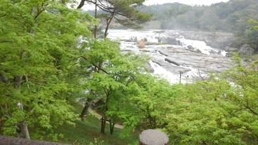 施設の敷地 / 13