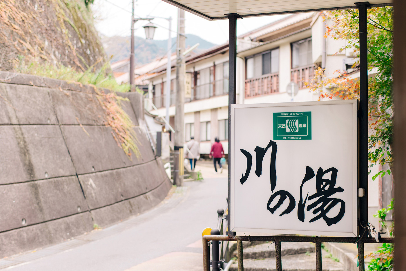 【1日目】「川の湯」でチェックイン。旅の始まりを穏やかに4759840
