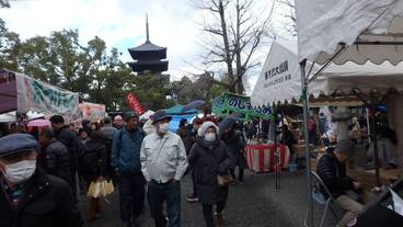 観光スポット / 39