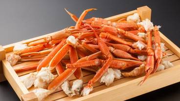 食事・飲み物 / 1