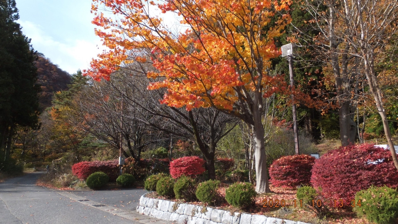 川治湯元駅の紅葉は真っ盛り