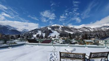 テラス / パティオ / 7