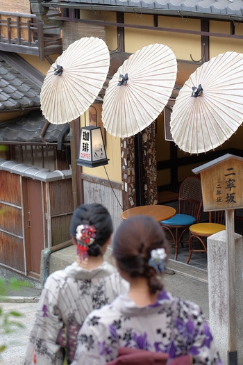 初夏～夏は京都の穴場シーズン！3631374