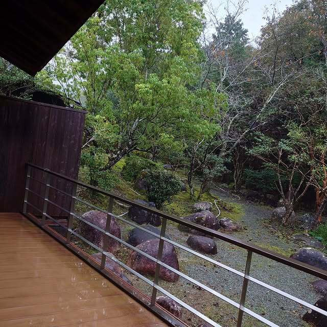 mocoa_25さんの写真 / 2