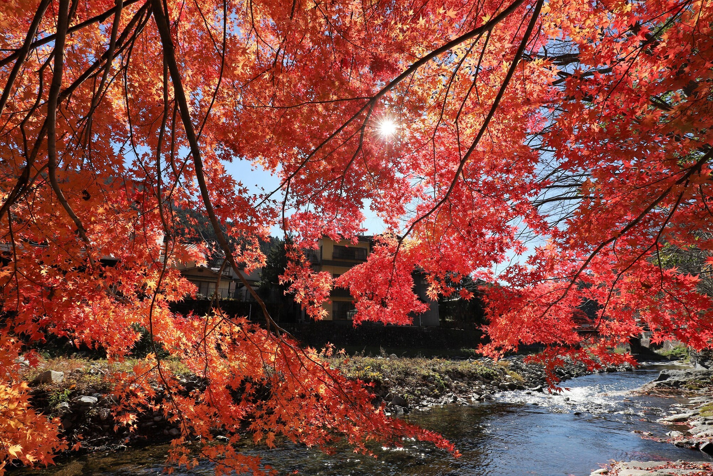 天川村 龍泉寺の紅葉