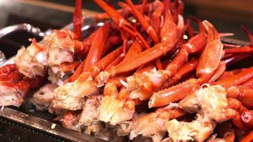 レストラン / 10