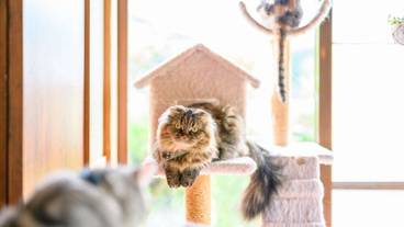 施設内の設備 / 28