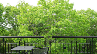 プレミアム ツインルーム 禁煙