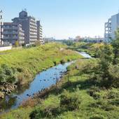 ビジネス旅館 川添支店（宮城県 旅館） / 3