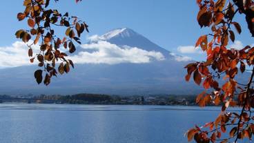 施設からの眺望 / 6