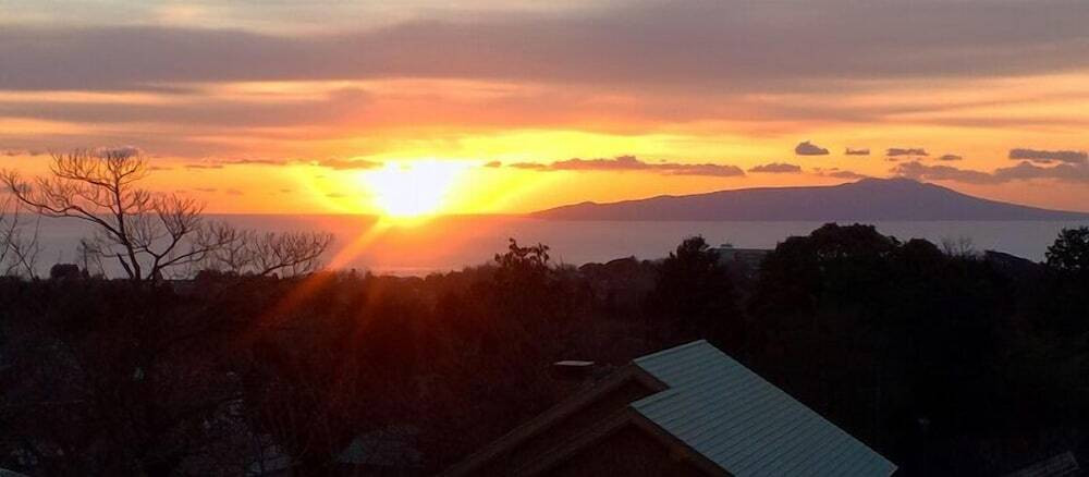 ビーチ / オーシャン ビュー