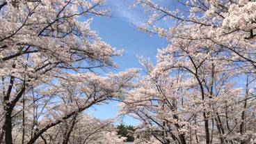 ハイキング / 14