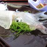 年中、旬です！佐賀・呼子の美味しいイカ刺しが食べられるお店