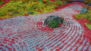 円通院 石庭 紅葉の時期 / 7