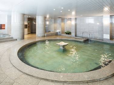 HOTEL MYSTAYS PREMIER Sapporo Park (Hokkaido City Hotel): Natural onsen bath / 1