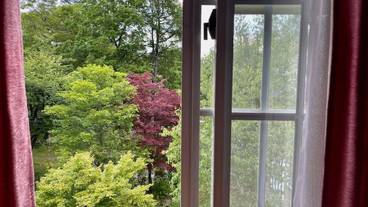 ガーデン ビュー / 8