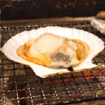 新鮮魚介を浜焼きでリーズナブルに♪居酒屋「赤羽 トロ函」