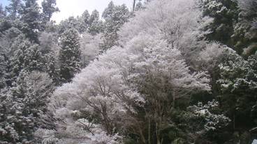 施設からの眺望 / 11