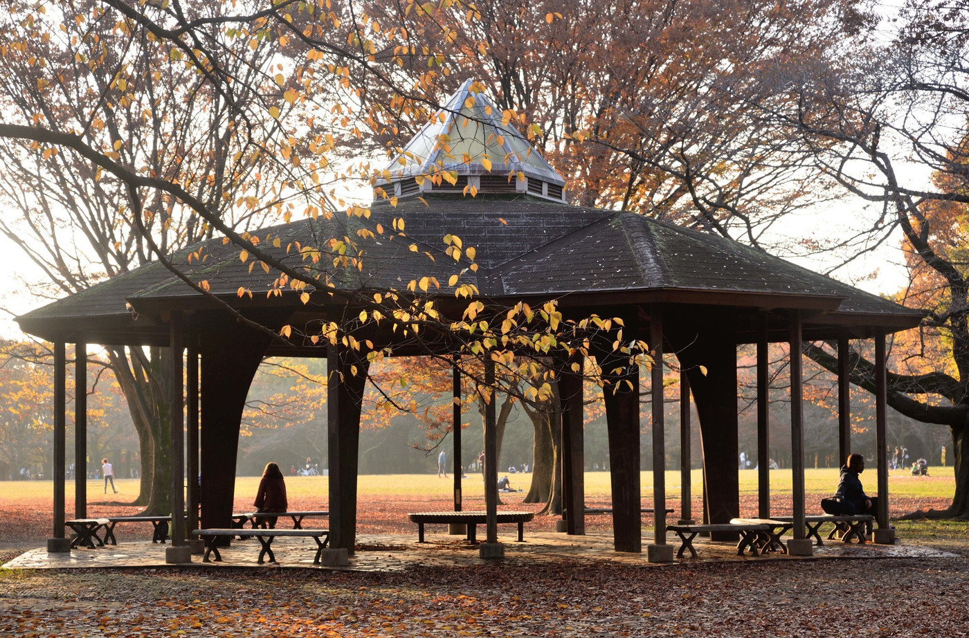 秋色に染まる公園とベンチに座る女性のシルエット