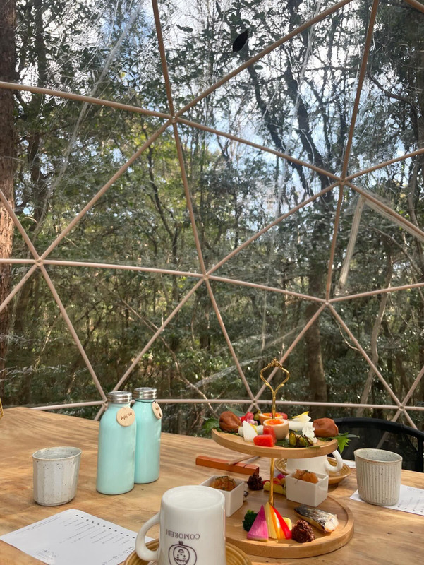 crnbelrrさんの写真 / 3