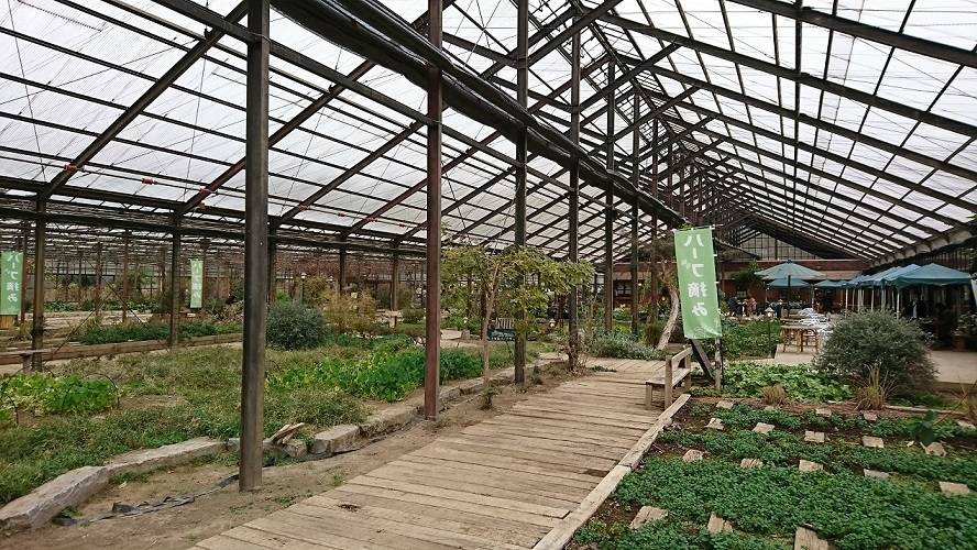 ハーブガーデン内 / 1