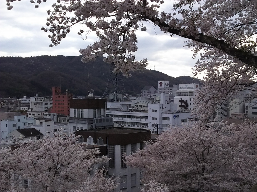 鶴山公園から見るホテル