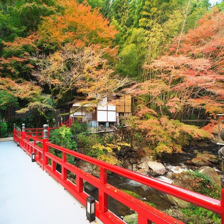 湯河原温泉 青巒荘（せいらんそう）（ユガワラオンセン　セイランソウ） / 2