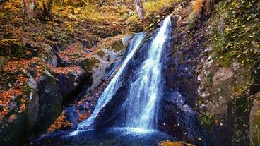 観光スポット / 27