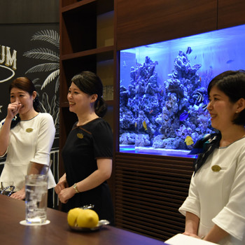 熱帯魚に癒され、おしゃべりも弾むアクアリウムバー3699450